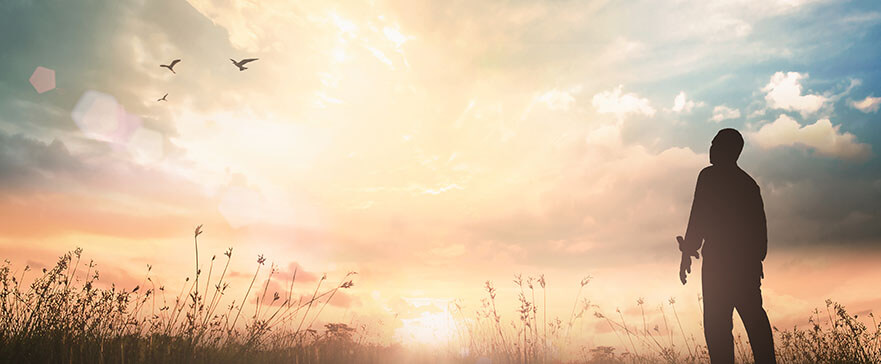 Man in a field looking at a sunset